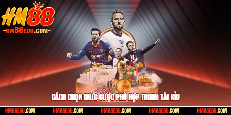 Cách chọn mức cược phù hợp trong tài xỉu