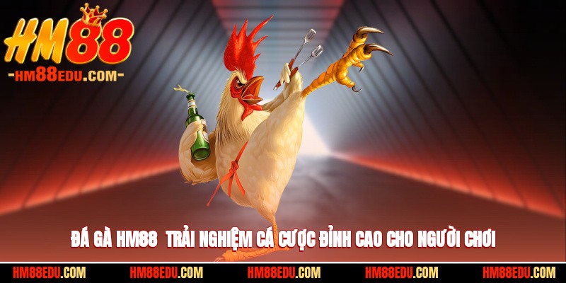 Đá Gà HM88 - Trải Nghiệm Cá Cược Đỉnh Cao Cho Người Chơi