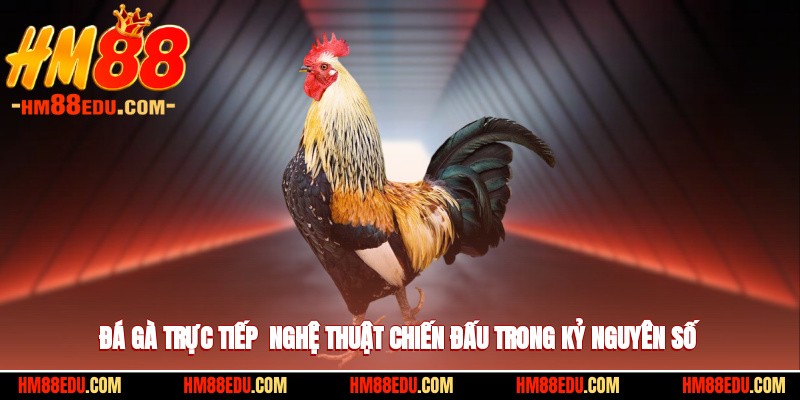 Đá Gà Trực Tiếp - Nghệ Thuật Chiến Đấu Trong Kỷ Nguyên Số