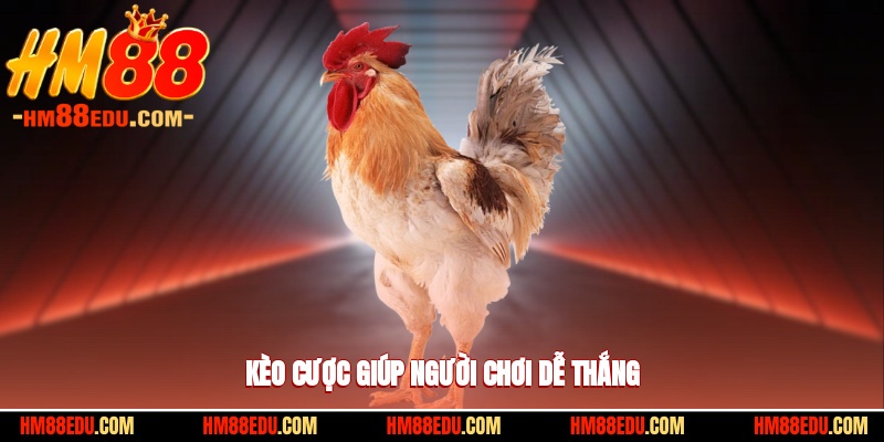Kèo cược đa dạng giúp người chơi dễ thắng và chọn lựa