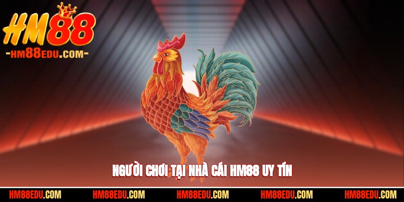 Người chơi tại nhà cái HM88 uy tín