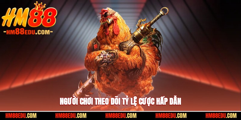 Người chơi theo dõi tỷ lệ cược hấp dẫn