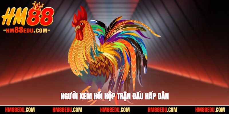 Người xem hồi hộp trận đấu hấp dẫn