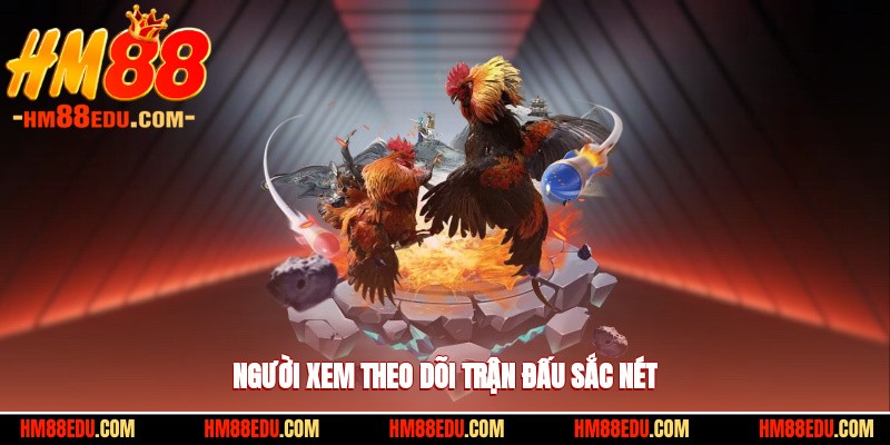 Người xem theo dõi trận đấu sắc nét